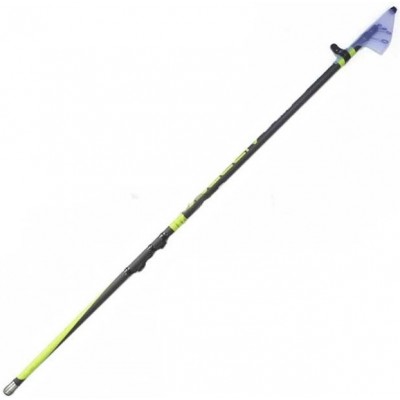 Удочка болонская Bison Frecia 15-40гр c/к 6м