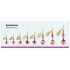Блесна PONTOON 21 SYNCHRONY #4 цвет C01-003
