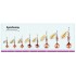 Блесна PONTOON 21 SYNCHRONY #4 цвет T02-052