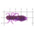 Силиконовая приманка FishUp Dragonfly 1.5" (8шт), цвет 055 Chartreuse/Black (8 шт)